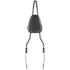 Motorcycle Backrest Sissy Bar, Compatible with Harley-Davidson Dyna Street Glide, Road Glide, and Road King, 29-Inch Height Detachable Passenger Backrest, Black
