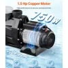 VEVOR Above Ground Pool Pump, 1.5HP, 122 GPM Max Flow Single Speed Swimming Pool Pump, 220V 3450 RPM 55 ft Max Head Lift with PP Shell Strainer Basket, 122°F Max Water Temp, for Hot Tubs Spas, No Plug