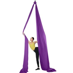 VEVOR Aerial Silk & Yoga Swing, 8.7 Yards, Aerial Yoga Hammock Kit with 100gsm Nylon Fabric, Full Rigging Hardware & Easy Set-up Guide, Antigravity Flying for All Levels Fitness Bodybuilding, Purple