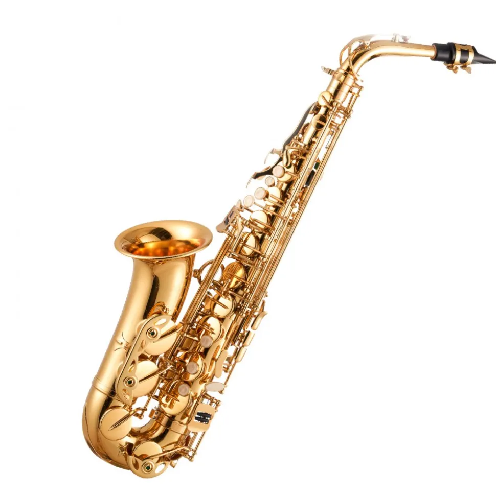 VEVOR Alto Saxophone, E Flat, Brass Saxophone Beginner Kit with Carrying Case, Mouthpiece, Straps, Cleaning Cloth Rod, Gloves, Grease, Neck Strap, 23 Keys Alto Sax Kit, for Beginners Students, Gold