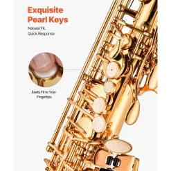 VEVOR Alto Saxophone, E Flat, Brass Saxophone Beginner Kit with Carrying Case, Mouthpiece, Straps, Cleaning Cloth Rod, Gloves, Grease, Neck Strap, 23 Keys Alto Sax Kit, for Beginners Students, Gold