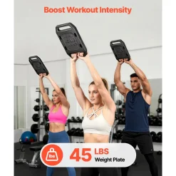 VEVOR Cast Iron Ruck Weights for Backpack, 45LB Single Ruck Plate, Weight Plate with Smooth Handle, Textured Finish for Rucking, Hiking, Swings, Strength Training, Weightlifting, Fitness Workout