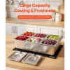 VEVOR Countertop Food Serving Display Container, 4 Pan Stainless Steel Food Serving Tray, Buffet Condiment Dispenser Display Rack with Clear Lid & 3 Freezer Boxes, for Restaurant Hotel Kitchen Party