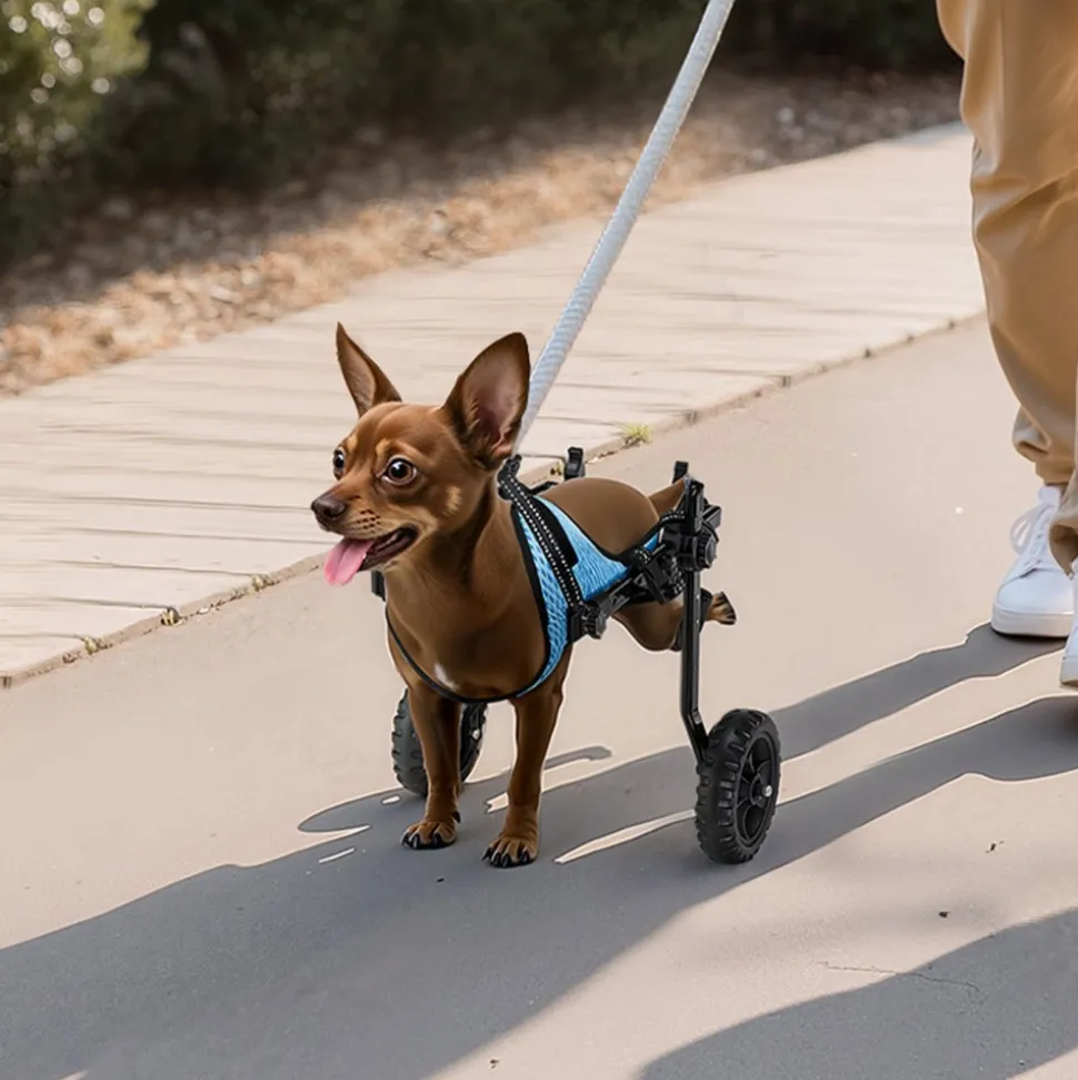 VEVOR Dog Wheelchair for Back Legs, Adjustable 2 Wheels Pet Wheelchair, Lightweight Dog Cart with Shock-Absorbing Wheels, Mobility Support Wheel Chair for Disabled Injured Dogs up to 22lbs , X-Small