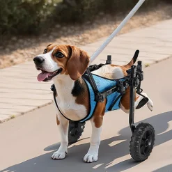 VEVOR Dog Wheelchair for Back Legs, Adjustable 2 Wheels Pet Wheelchair, Lightweight Dog Cart with Shock-Absorbing Wheels, Mobility Support Wheel Chair for Disabled Injured Dogs up to 22lbs, Small