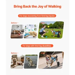 VEVOR Dog Wheelchair for Back Legs, Adjustable 2 Wheels Pet Wheelchair, Lightweight Dog Cart with Shock-Absorbing Wheels, Mobility Support Wheel Chair for Disabled Injured Dogs up to 22lbs, Medium