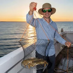 VEVOR Double Ring Crab Trap, 24 inch Top, 20 inch Bottom, Two Rings Crab Kit, Foldable Fishing Net with Gauge, 60 ft Rope, Wire Grid Bottom, Rock and Blue Crab, Dock & Pier Crabbing, 2 Set