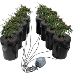 VEVOR DWC Hydroponic System, 5 Gallon 5 Buckets, Deep Water Culture Growing Bucket, Hydroponics Grow Kit with Pump, Air Stone and Connected Reservoir, for Indoor/Outdoor Leafy Vegetables