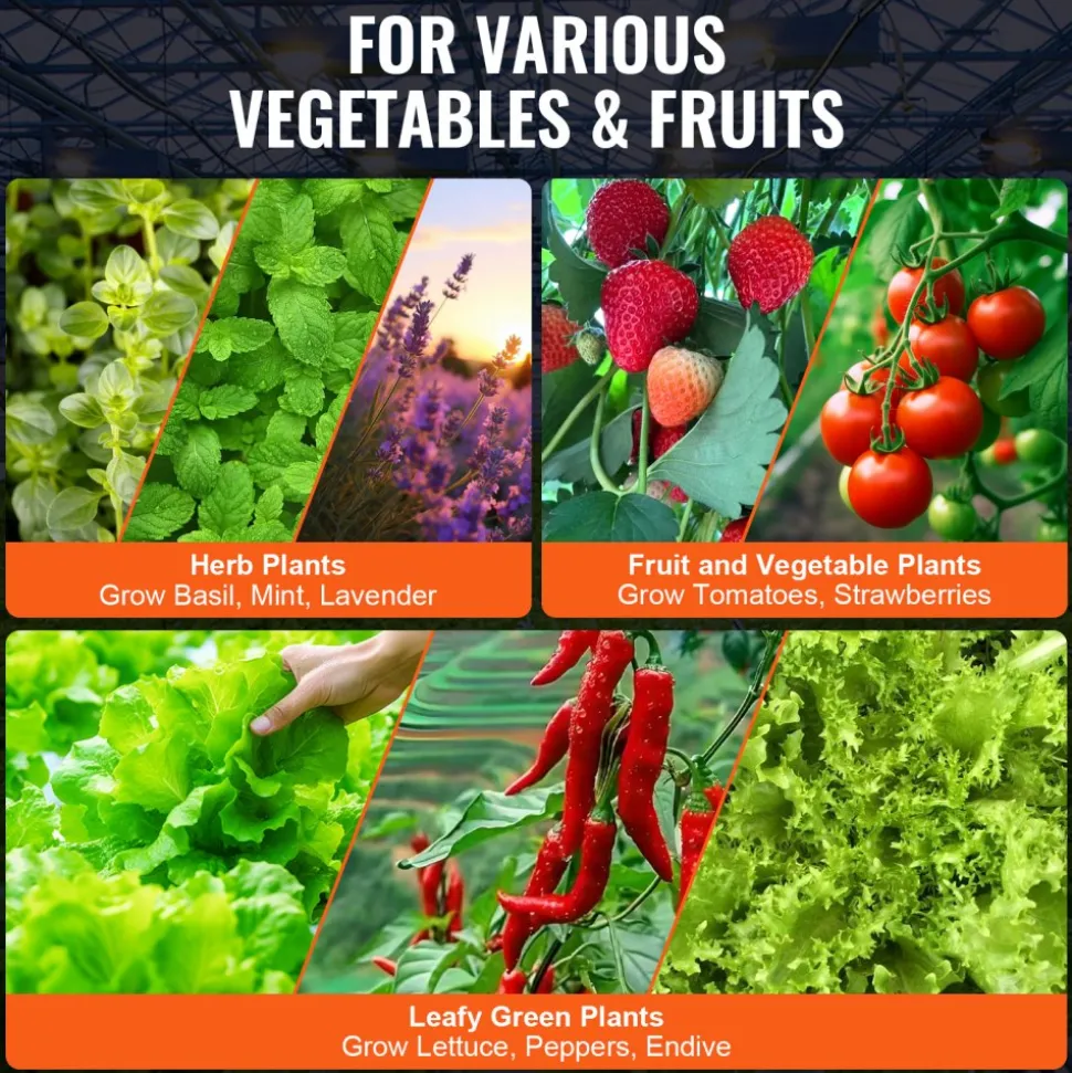 VEVOR DWC Hydroponic System, 5 Gallon 4 Buckets, Deep Water Culture Growing Bucket, Hydroponics Grow Kit with Pump, Air Stone and Water Level Device, for Indoor/Outdoor Leafy Vegetables