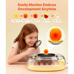VEVOR 24 Egg Incubator, Automatic Egg Turner with LED Candler, Temperature Control & Humidity Display, 360° View Window, Auto Water Refill, Poultry Eggs Incubator for Hatching Chicks Ducks Goose Quail