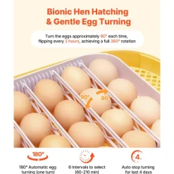 VEVOR 24 Egg Incubator, Automatic Egg Turner with LED Candler, Temperature Control & Humidity Display, 360° View Window, Auto Water Refill, Poultry Eggs Incubator for Hatching Chicks Ducks Goose Quail