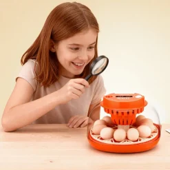 VEVOR 12 Egg Incubator, Automatic Egg Turner with LED Candler, Temperature & Humidity Control, 360° View Clear Window, Poultry Eggs Incubator for Home Farm, Hatching Chicks Ducks Goose Quail