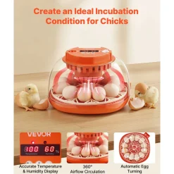 VEVOR 12 Egg Incubator, Automatic Egg Turner with LED Candler, Temperature & Humidity Control, 360° View Clear Window, Poultry Eggs Incubator for Home Farm, Hatching Chicks Ducks Goose Quail