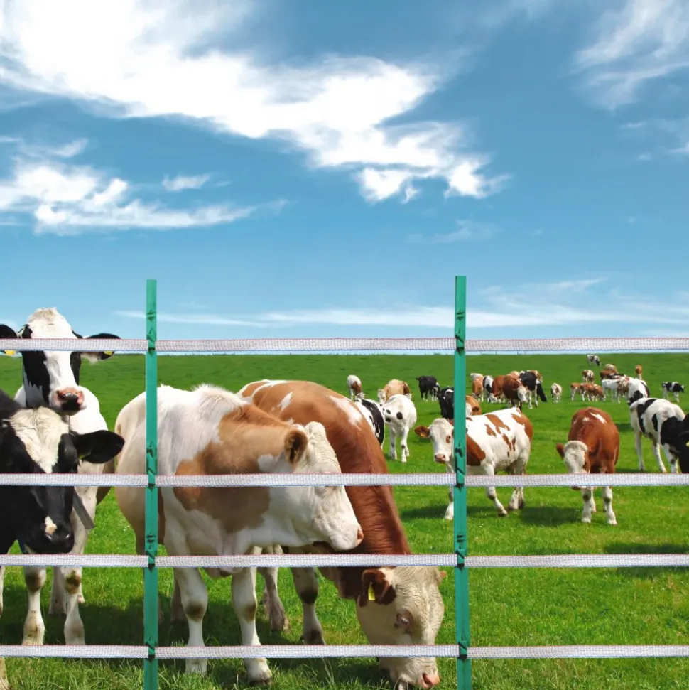VEVOR Electric Fence Tape, 1640Ft 500M Polytape Fencing Hot Wire, 3/4" Width 6 Stainless Steel Strands for Reliable Conductivity, UV & Rust Resistance, Portable Polywire for Horse Cattle Livestock