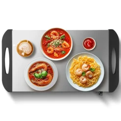 VEVOR Electric Warming Tray, Food Warming Trays for Buffet, Warming Trays with Adjustable Temperature Control, Portable Stainless Steel Food Warmer, Hot Plate Perfect for Parties, Catering, Holidays