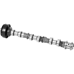 VEVOR Engine Camshaft, 05184378AF 05184378AH 5184378AE 5184378AF 5184378AD 5184378AG Cam Replacement, Fit 2018 Jeep Wrangler JK, 2011-2019 Dodge Journey, 2013-2018 Ram 1500, 2012 Ram C/V Base, 3.6L V6