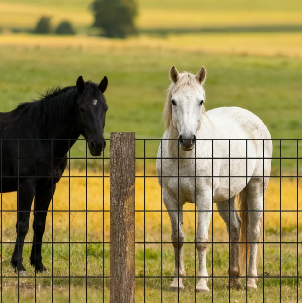VEVOR Farm Fence, 48 in x 50 ft, 2 x 4 in Mesh 14 Gauge Galvanized Steel Wire Fencing for Cattle, Hog & Sheep , Heavy Duty Vinyl Coated Livestock Fence for Animal Enclosures, Cage Wire, Garden Fences
