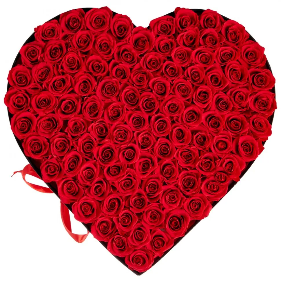 VEVOR Forever Flowers, 100 Preserved Roses in a Heart Shape Box, Eternal Flowers Immortal Bouquet Birthday Present for Women Her Wife Mothers, Anniversary, Valentine's Day,Christmas, Red
