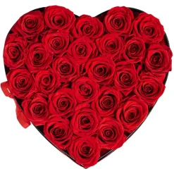 VEVOR Forever Flowers, 27 Preserved Roses in a Heart Shape Box, Eternal Flowers Immortal Bouquet Birthday Present for Delivery Prime Women Her Wife Mothers, Anniversary, Valentine's Day,Christmas, Red