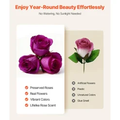 VEVOR Forever Flowers, 27 Preserved Roses in a Box, Eternal Flowers Immortal Bouquet Birthday Present for Delivery Prime Women Her Wife Mothers, Anniversary, Valentine's Day,Christmas, Rose Red