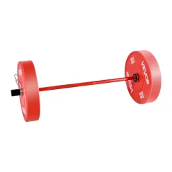 VEVOR 4FT Barbell Bar, Fits 2-Inch Weight Plates, Barbell Bar with Knurled Grip for Strength Training, Weightlifting, Squat, Deadlift, Bench Press, Curl, Overhead Press, 550lbs/226kg Capacity