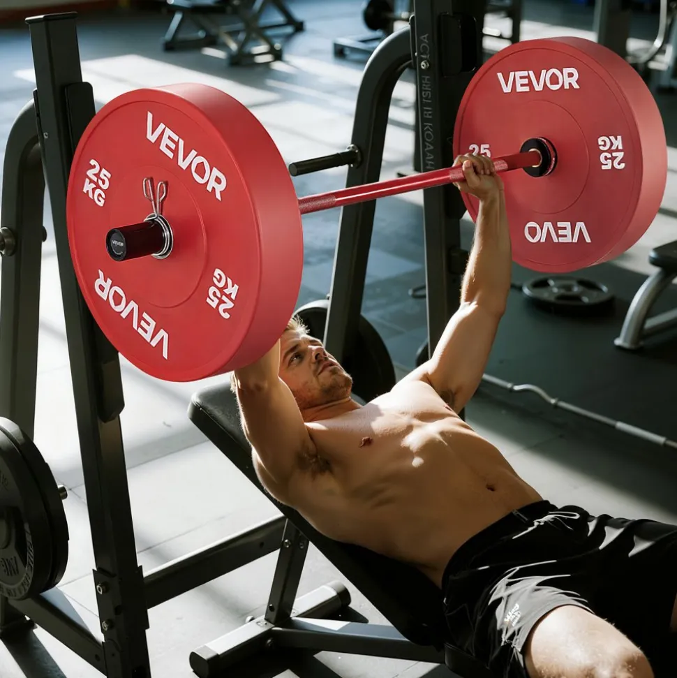 VEVOR 4FT Barbell Bar, Fits 2-Inch Weight Plates, Barbell Bar with Knurled Grip for Strength Training, Weightlifting, Squat, Deadlift, Bench Press, Curl, Overhead Press, 550lbs/226kg Capacity