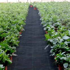 VEVOR 3FTx50FT Premium Weed Barrier Fabric Heavy Duty 5OZ, Woven Weed Control Fabric, High Permeability Good for Flower Bed, Geotextile Fabric for Underlayment, Polyethylene Ground Cover
