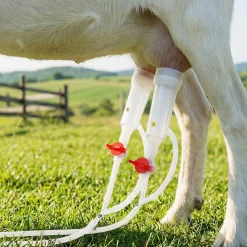 VEVOR Goat Milking Machine, 0.8 Gal / 3 L Food-Grade Stainless Steel Bucket, with 5200 mAh Rechargeable Battery, 2 Teat Cups, Cordless Portable Pulsation Vaccum Electric Milking Machine for Goats Only