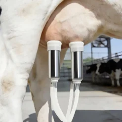 VEVOR Goat Milking Machine, 1.8 Gal / 7 L Food-Grade Stainless Steel Bucket, 4 Teat Cups for Cows and Goats, with 8000 mAh Rechargeable Battery, Electric Pulsation Milking Machine Portable Milker