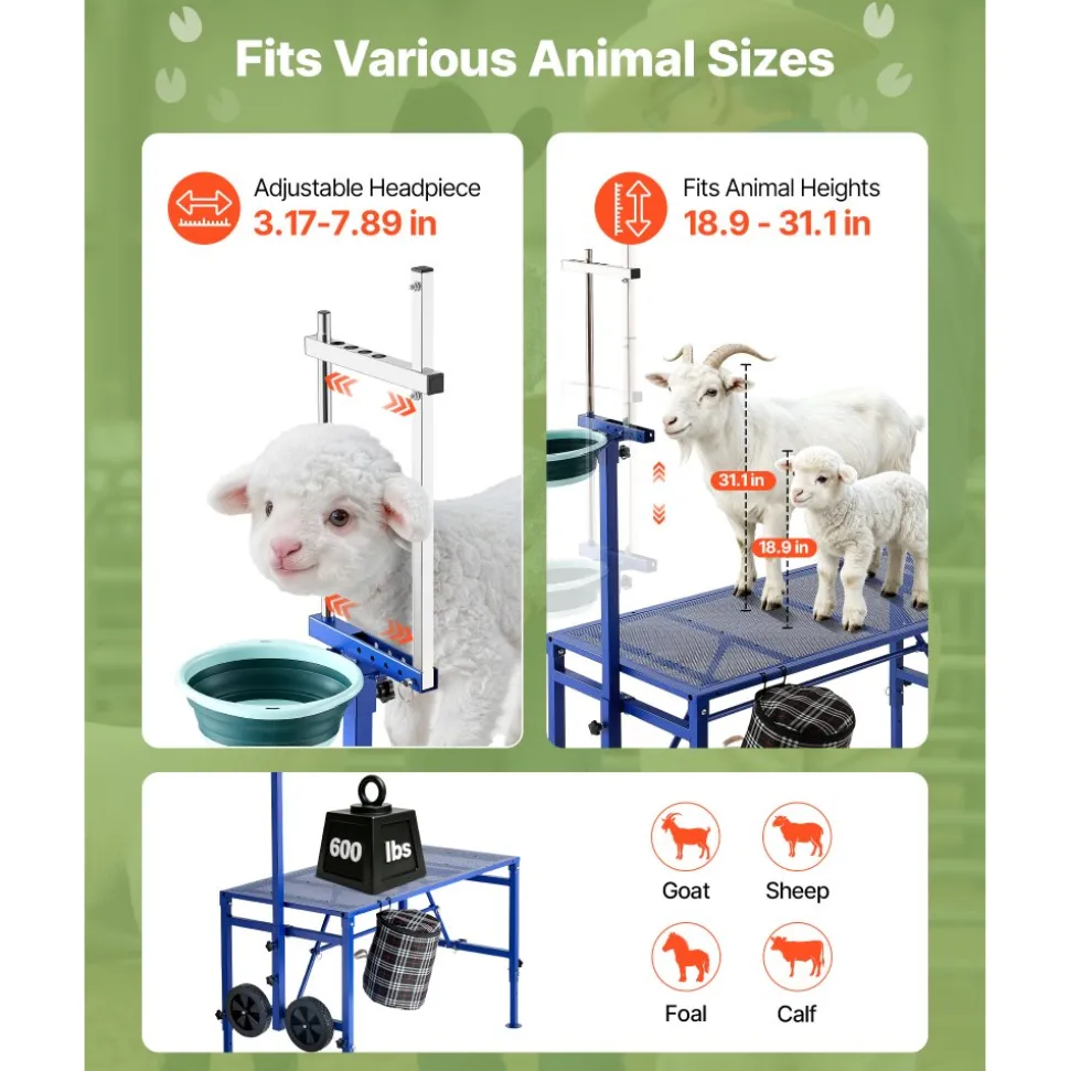 VEVOR Goat Milking Stand, 600 lbs Heavy Duty Foldable Goat Stand with Feed Bin & Wheels, Adjustable Headpiece & Tool Basket, Stanchion for Grooming & Hoof Trimming, Metal Livestock Platform for Sheep