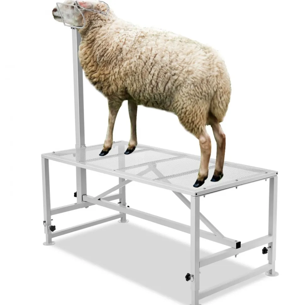 VEVOR Goat & Sheep Stand, 47x23 inch Livestock Stand, Metal Livestock Milking and Shearing Stand 21" to 33" Adjustable Height, with Headpiece and Nose Loop, 500lbs Loading Weight, White