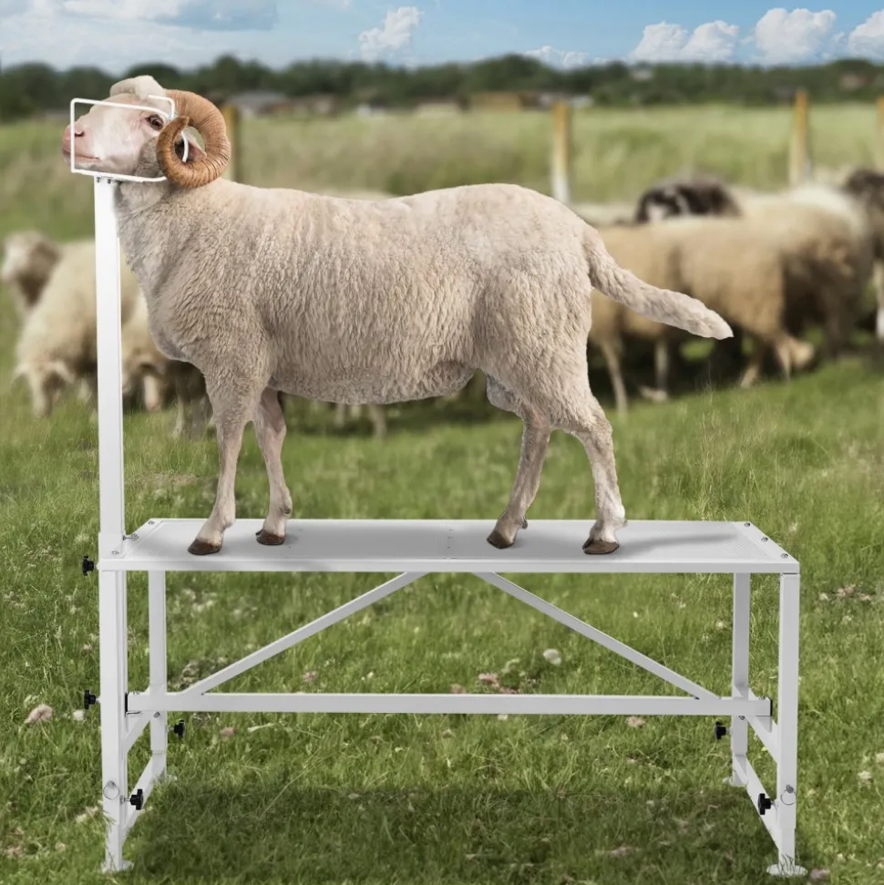VEVOR Goat & Sheep Stand, 51x23 inch Livestock Stand, Metal Livestock Milking and Shearing Stand 21" to 33" Adjustable Height, with Headpiece and Nose Loop, 500lbs Loading Weight, White