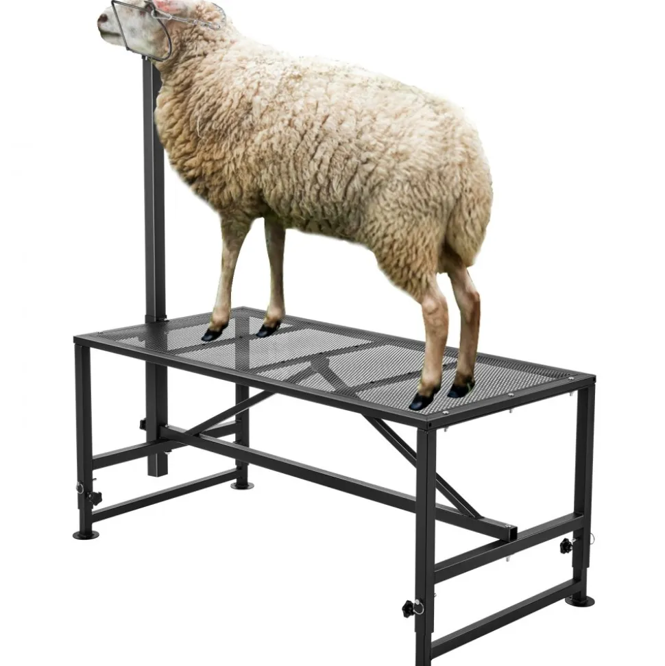 VEVOR Goat & Sheep Stand, 51x23 inch Livestock Stand, Metal Livestock Milking and Shearing Stand 21" to 33" Adjustable Height, with Headpiece and Nose Loop, 500lbs Loading Weight, Black
