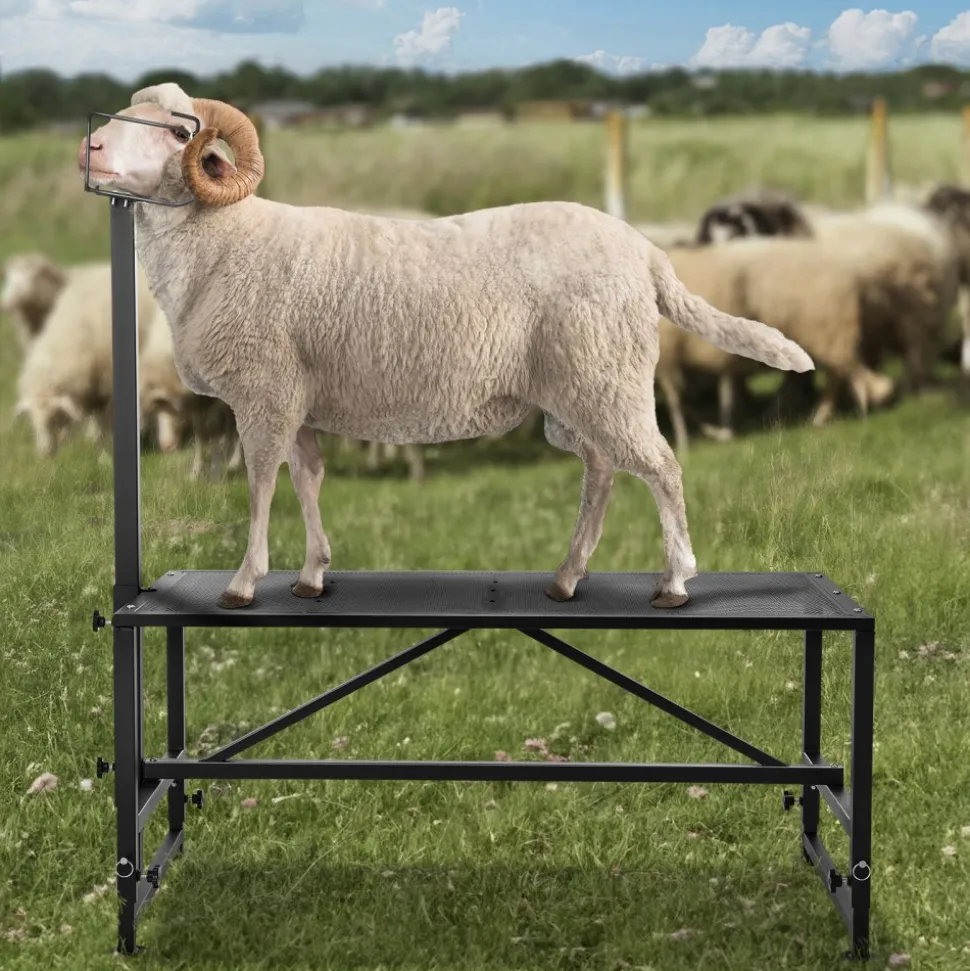 VEVOR Goat & Sheep Stand, 51x23 inch Livestock Stand, Metal Livestock Milking and Shearing Stand 21" to 33" Adjustable Height, with Headpiece and Nose Loop, 500lbs Loading Weight, Black