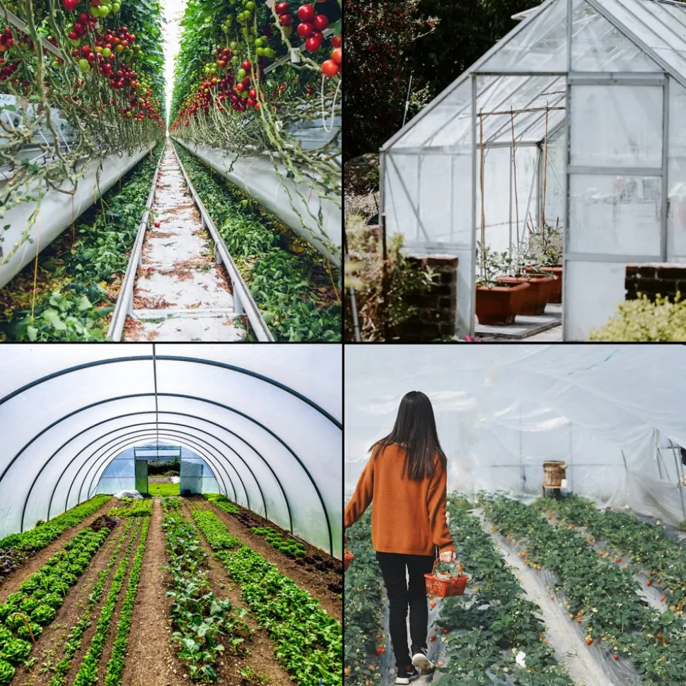 VEVOR Greenhouse Film 25 x 40 ft, Greenhouse Polyethylene Film 6 Mil Thickness, Greenhouse Plastic Greenhouse Clear Plastic Film UV Resistant, Polyethylene Film Keep Warming, Superior Strength