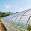 VEVOR Greenhouse Plastic Sheeting 10 x 100 ft 6 Mil Clear Polyethylene Film, for Farms Agriculture Garden Outdoor Plant, Water Sun Frost Wind Dust Resistant, Heavy Duty Thick Winter Hoop House Cover