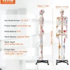 VEVOR Human Skeleton Model for Anatomy, 71.65" Life Size, Accurate PVC Anatomy Skeleton Model with Ligaments, Movable Arms, Legs & Jaw, with Muscle Origin & Insertion Points, for Professional Teaching