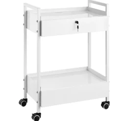 VEVOR Lab Cart, 2 Tiers Stainless Steel Utility Cart, Medical Cart with 2 Drawers, Rolling Lab Cart White Paint, Serving Cart with Swivel Casters for Laboratory, Hospital, Dental, Salon and Beauty