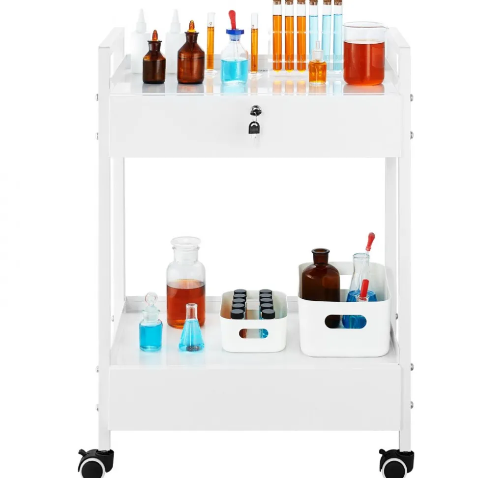 VEVOR Lab Cart, 2 Tiers Stainless Steel Utility Cart, Medical Cart with 2 Drawers, Rolling Lab Cart White Paint, Serving Cart with Swivel Casters for Laboratory, Hospital, Dental, Salon and Beauty
