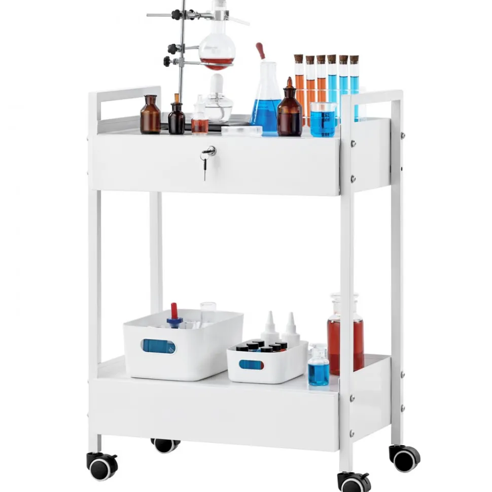 VEVOR Lab Cart, 2 Tiers Stainless Steel Utility Cart, Medical Cart with 2 Drawers, Rolling Lab Cart White Paint, Serving Cart with Swivel Casters for Laboratory, Hospital, Dental, Salon and Beauty