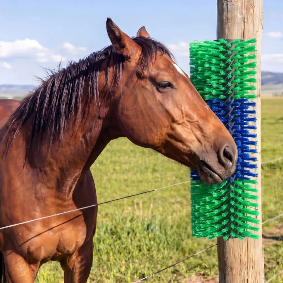 VEVOR Livestock Scratching Brush, 2PCS Goat Scratcher Brush Post with 8 Screws, 16.9" x 7.5" Cow Scratcher for Back Itch Relief, Massage Grooming Scratch Tool for Horse Cattle Sheep Pig, Green & Blue