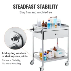 VEVOR Medical Cart, 2-Layer Stainless Steel Cart 220 lbs Weight Capacity, Lab Utility Cart with 360° Silent Wheels and a Drawer for Lab, Clinic, Kitchen, Salon