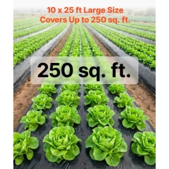 VEVOR 6 Mil Plastic Sheeting 10' x 25' Black Heavy Duty Polyethylene Roll, Thick Plastic Roll for Garden, Drop Cloth Painters Tarp, Polyethylene Covering for Crawl Space Vapor Barrier, Weed Control