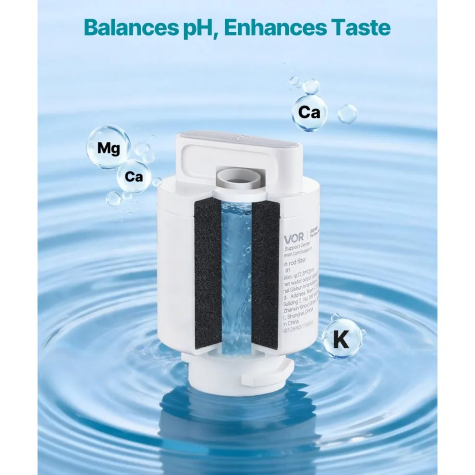 VEVOR Mineralization Filter Replacement – Remineralization Alkaline Water Filter for Reverse Osmosis System, Balances pH & Restores Minerals, Compatible with X811B Ice Maker Water Dispenser