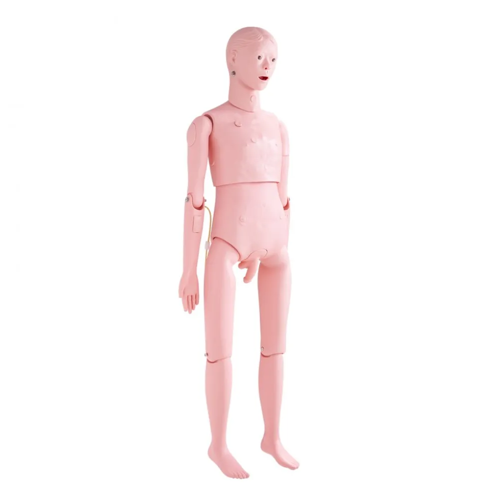 VEVOR Nursing Training Manikin, Male Life Size Demonstration Human Manikin for Nursing Training, Multifunctional Education Teaching Model Supplies, PVC Anatomical Mannequin Body Care Simulator Model
