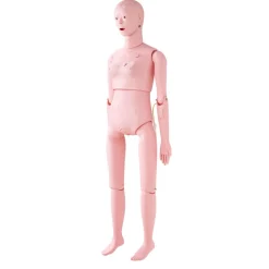 VEVOR Nursing Training Manikin, Female Life Size Demonstration Human Manikin for Nursing Training, Multifunctional Education Teaching Model Supplies, PVC Anatomical Mannequin Body Care Simulator Model