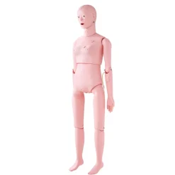VEVOR Nursing Training Manikin, Female Life Size Demonstration Human Manikin for Nursing Training, Multifunctional Education Teaching Model Supplies, PVC Anatomical Mannequin Body Care Simulator Model