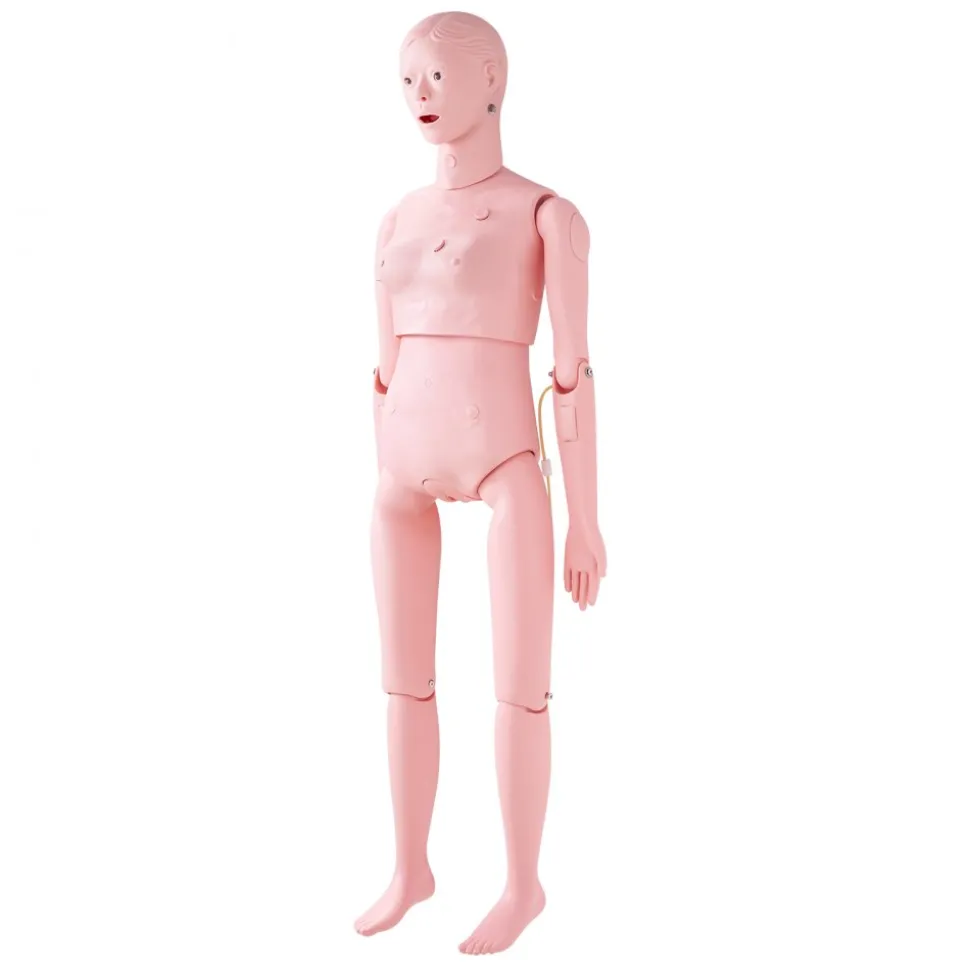VEVOR Nursing Training Manikin, Female Life Size Demonstration Human Manikin for Nursing Training, Multifunctional Education Teaching Model Supplies, PVC Anatomical Mannequin Body Care Simulator Model