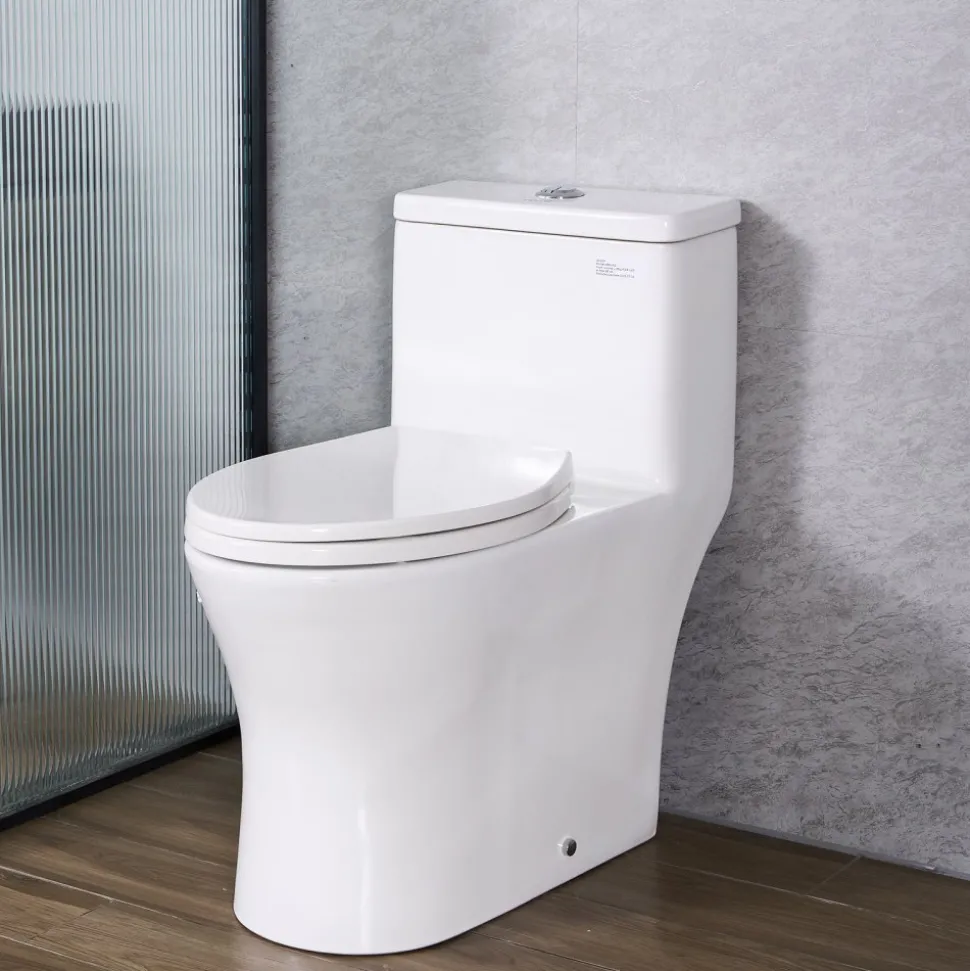 VEVOR One-Piece Toilet, Elongated Toilet Vortex Dual-Flush 1.0/1.28 GPF, Toilets for Bathroom with Comfortable Chair Seat, Standard Height, Easy-Clean Skirted Design, 12 inch Rough-In, White + Silver