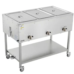 VEVOR 3-Pan Commercial Propane Steam Table, LP Gas Outdoor Soup Warmer with Drain Valve and 3" Wheels, Stainless Steel Propane Food Warmer with Independent Temp Control, for Restaurant Outdoor Camping